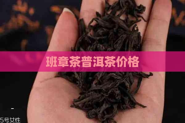 班章茶普洱茶价格