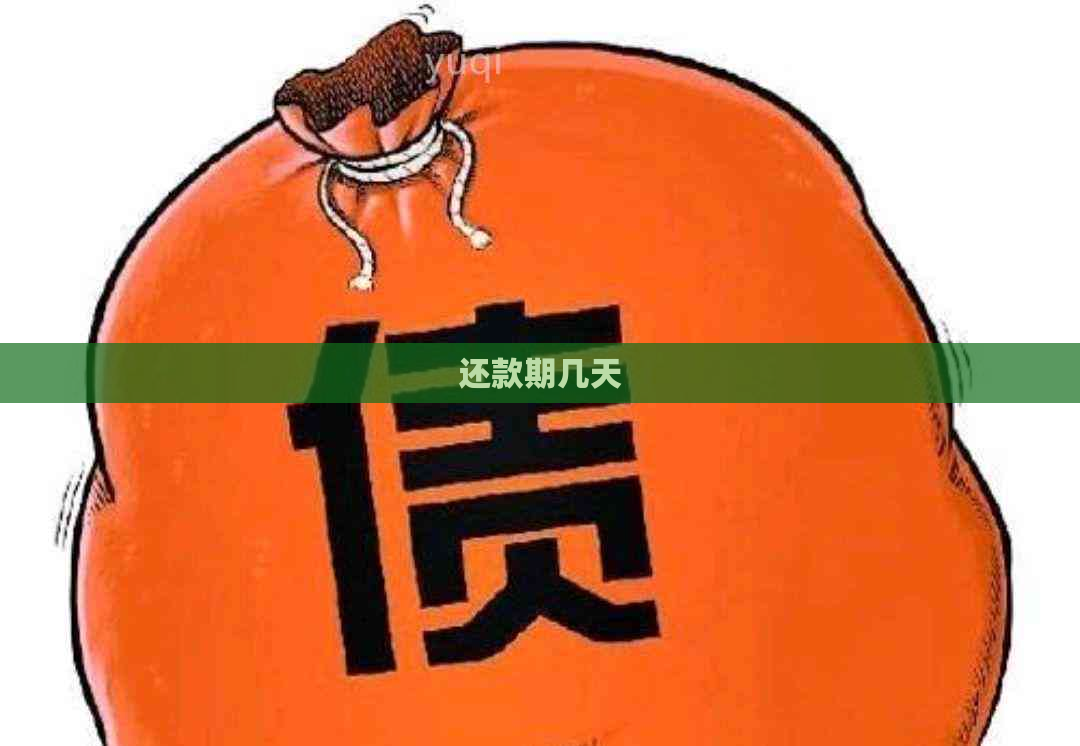 还款期几天