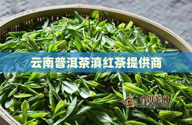 云南普洱茶滇红茶提供商