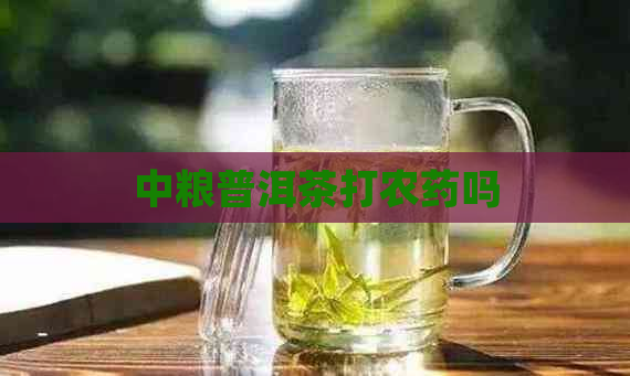 中粮普洱茶打农药吗