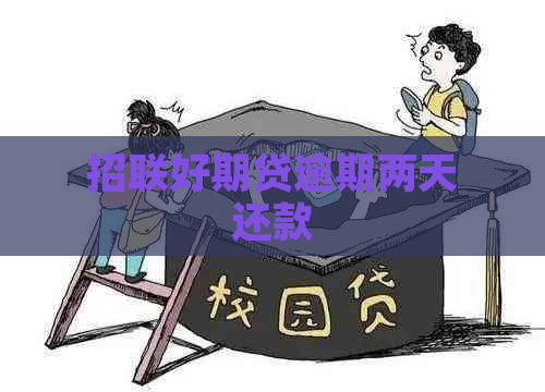 招联好期贷逾期两天还款