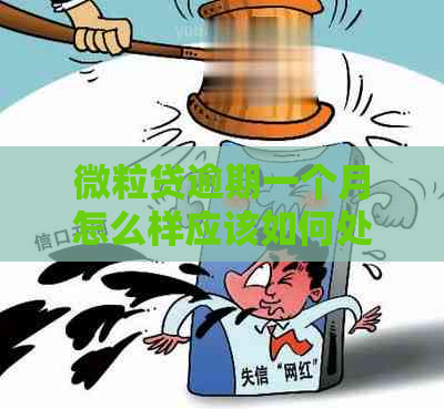 微粒贷逾期一个月怎么样应该如何处理