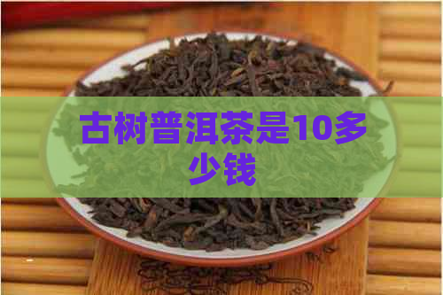 古树普洱茶是10多少钱