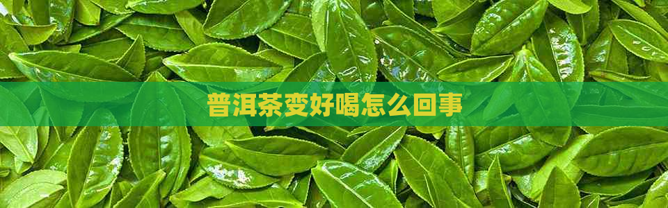 普洱茶变好喝怎么回事