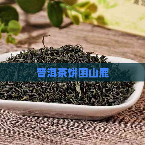 普洱茶饼困山鹿