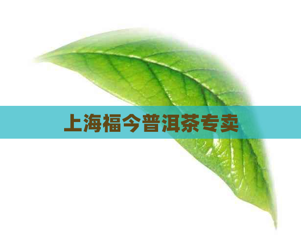 上海福今普洱茶专卖