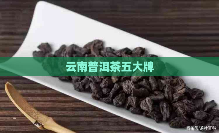 云南普洱茶五大牌