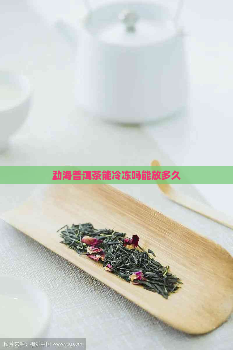 勐海普洱茶能冷冻吗能放多久