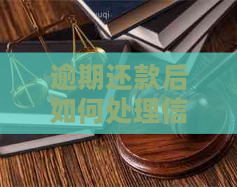 逾期还款后如何处理信用卡：注销还是其他解决方案？全面解析与建议