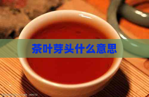 茶叶芽头什么意思