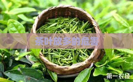 茶叶放多的危害