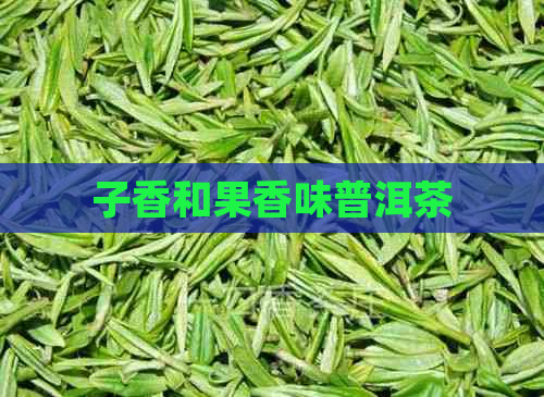 子香和果香味普洱茶