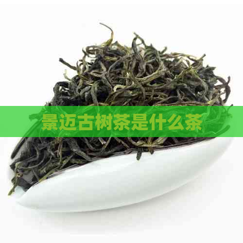 景迈古树茶是什么茶