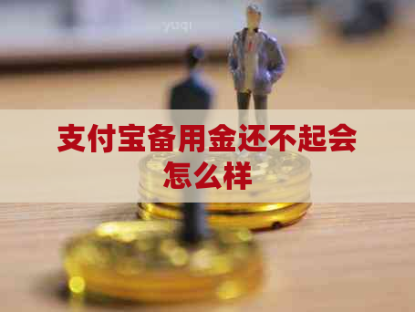 支付宝备用金还不起会怎么样