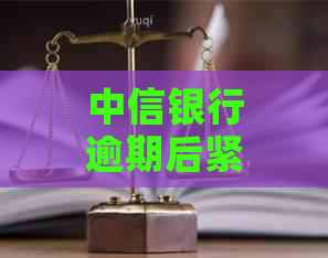 中信银行逾期后紧急联系人通知时间：多久发送短信？如何设置？