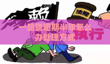 一品贷逾期半年怎么办处理方式