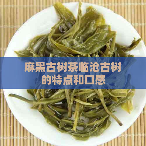 麻黑古树茶临沧古树的特点和口感