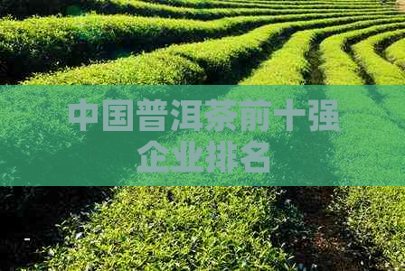 中国普洱茶前十强企业排名