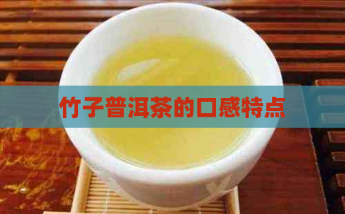 竹子普洱茶的口感特点