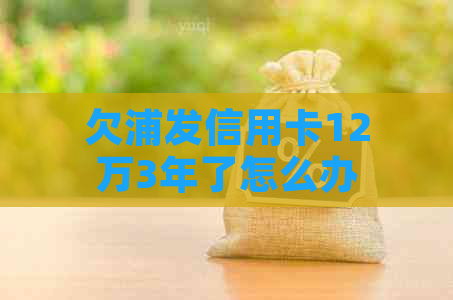 欠浦发信用卡12万3年了怎么办