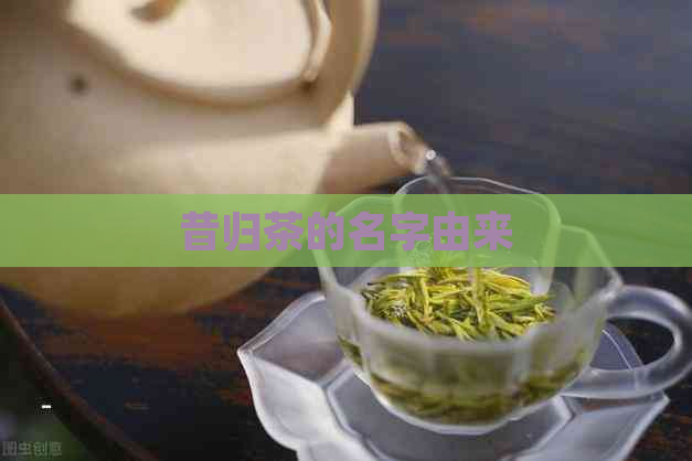 昔归茶的名字由来