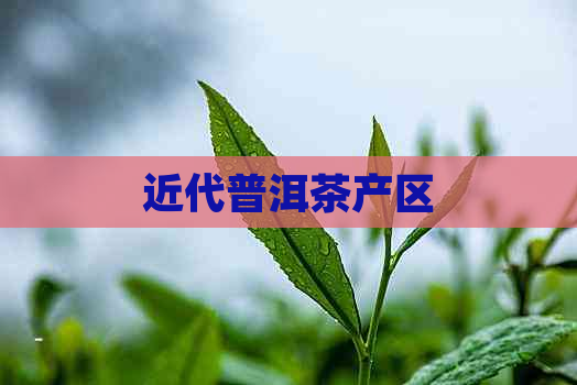 近代普洱茶产区