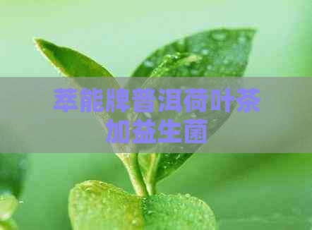 萃能牌普洱荷叶茶加益生菌