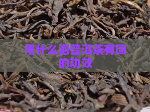 用什么泡普洱茶有回的功效