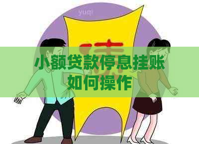 小额贷款停息挂账如何操作