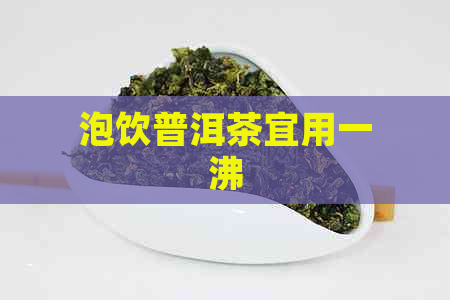 泡饮普洱茶宜用一沸