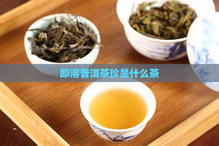 即溶普洱茶珍是什么茶