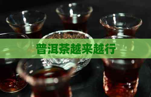 普洱茶越来越行