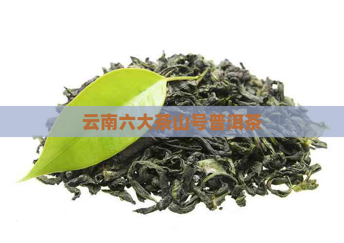 云南六大茶山号普洱茶