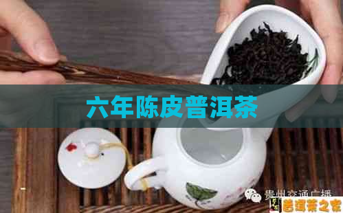 六年陈皮普洱茶