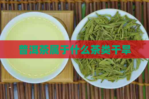 普洱茶属于什么茶类干旱