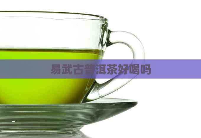 易武古普洱茶好喝吗