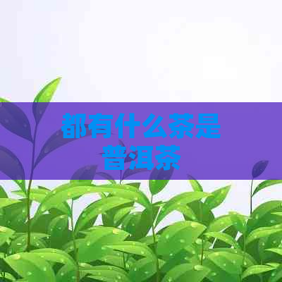 都有什么茶是普洱茶