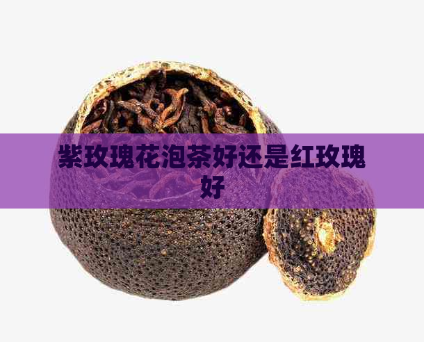 紫玫瑰花泡茶好还是红玫瑰好