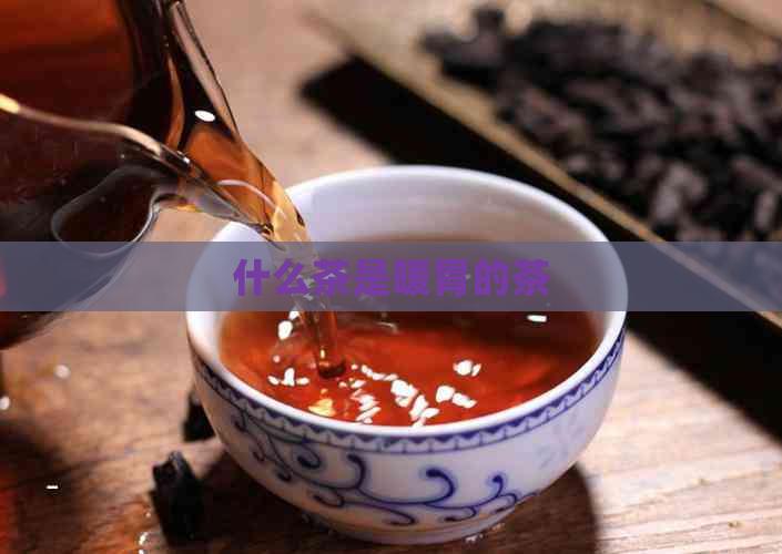 什么茶是暖胃的茶