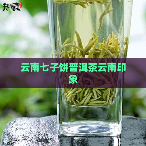 云南七子饼普洱茶云南印象