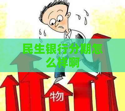 民生银行分期怎么样啊