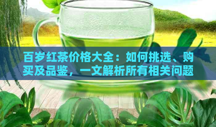 百岁红茶价格大全：如何挑选、购买及品鉴，一文解析所有相关问题