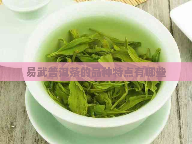 易武普洱茶的品种特点有哪些