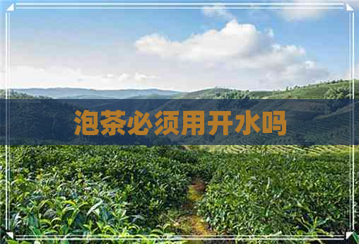 泡茶必须用开水吗