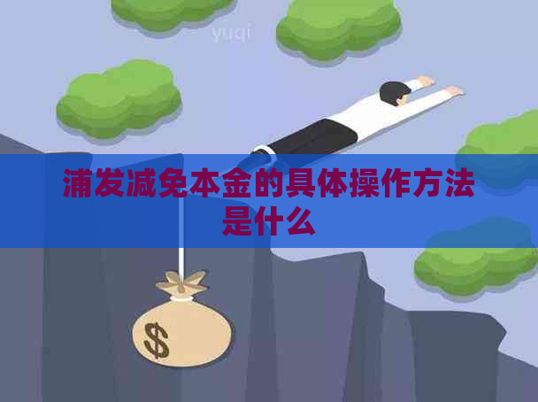 浦发减免本金的具体操作方法是什么