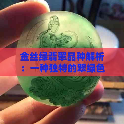 金丝绿翡翠品种解析：一种独特的翠绿色宝石的识别和价值评估