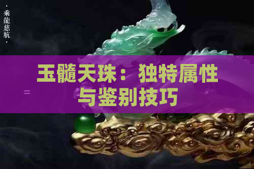 玉髓天珠：独特属性与鉴别技巧