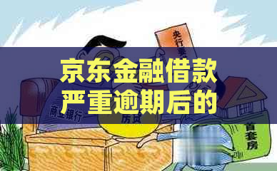 京东金融借款严重逾期后的后果及应对措