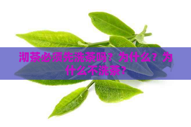 沏茶必须先洗茶吗？为什么？为什么不洗茶？