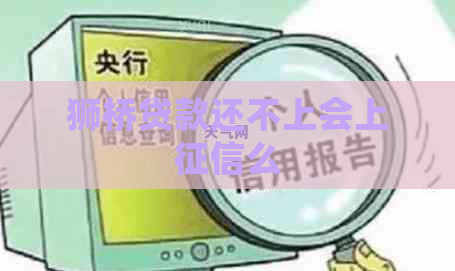 狮桥贷款还不上会上么